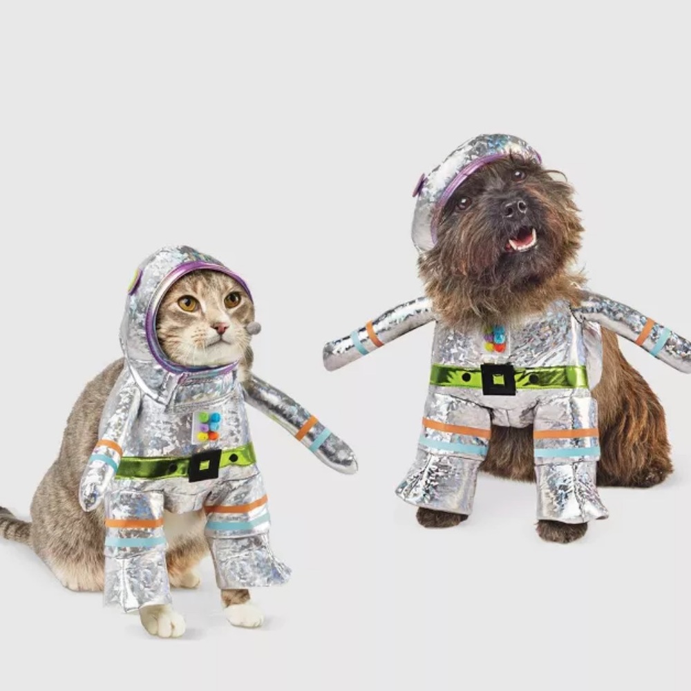 Pet robot costume
